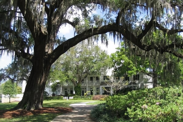 Leu Gardens