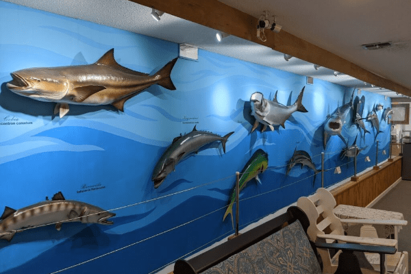Destin History
                        and Fishing Museum