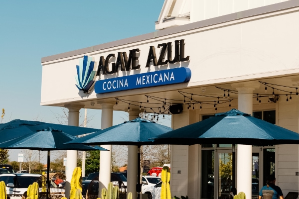 Agave Azul